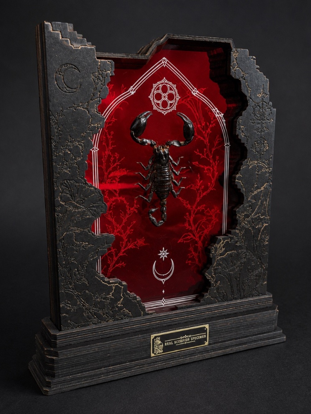 Gothic Scorpion Specimen Display, Red Acrylic and Layered Basswood, 11 x 9 Inche